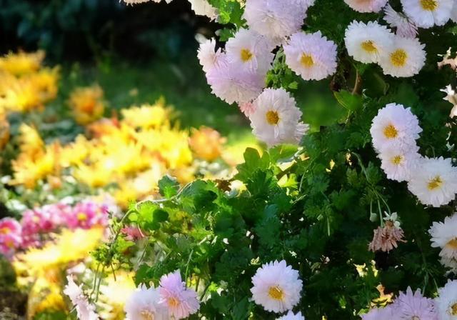 婚外情有真爱吗?会长久吗，婚外情能长期维持吗（婚外有真爱？别扯）