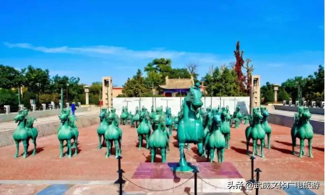 0935是哪的区号,095是哪个地方的区号(这是我2019年最新简历) 0935是哪的区号,095是哪个地方的区号(这是我2019年最新简历)