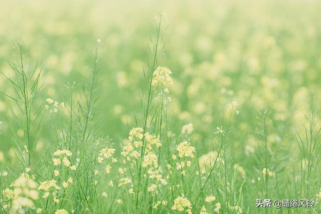 庾澄庆的<静静的>全部歌词，庾澄庆的儿子和女儿（曾是惊鸿照影来......）