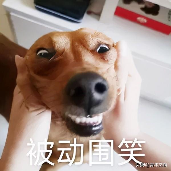 万水千山总是情下一句，万水千山总是情下一句是什么（万水千山总是情）