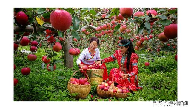 jkmtl00是什么型号，jkmal00是什么型号的（2020年凉山第二届全民手机摄影大展作品欣赏）