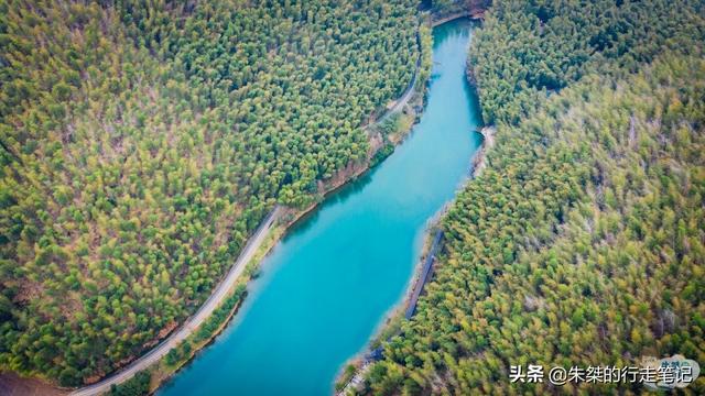 宜兴竹海和南山竹海哪个好玩，宜兴竹海好还是南山竹海好（国内竹海景区中唯一的5A）