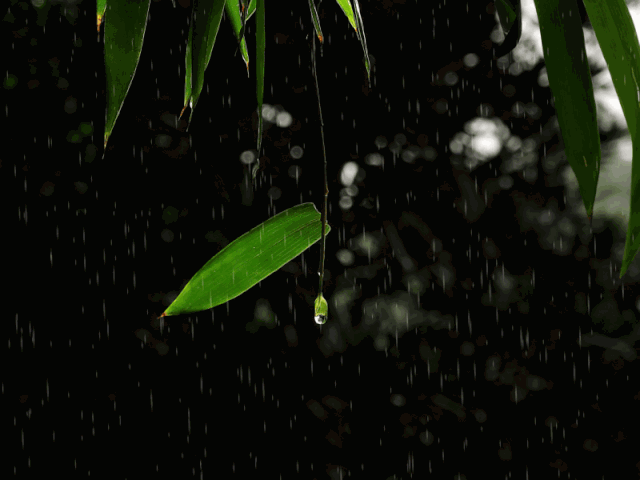 含雨的诗句，含雨的诗句连续两句（诗词鉴赏-十三首夏雨诗词）