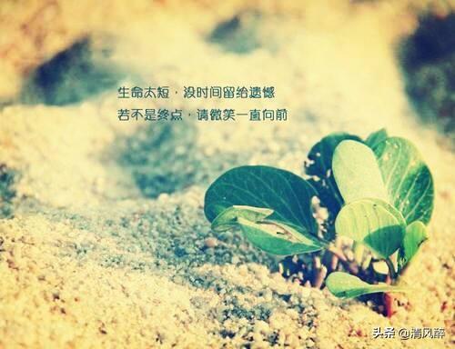 送给女朋友的情话，送给女朋友的情话短句（适合女朋友的唯美情话）