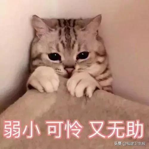 隐形眼镜日抛是什么意思，医生靠显微镜开始“地毯式”搜寻……