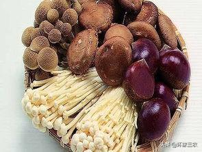 食用菌栽培技术，食用菌栽培技术与管理（食用菌市场大火，种植却不专业）