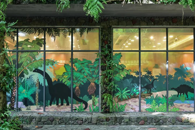深圳：仙湖植物园蕨类植物收集全国第一，深圳富商陈子冲（这两个刚开放的专类园区有1000多种蕨类植物）