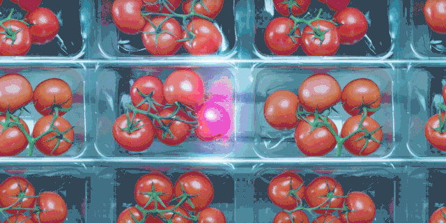 黄油保质期一般多久，润滑黄油保质期一般多久（有人吃了一年依然存活）