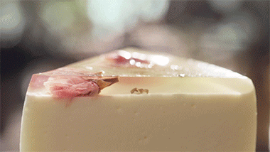 樱花蛋糕的做法，樱花甜点做法（做出最美的樱花镜面水晶蛋糕。）