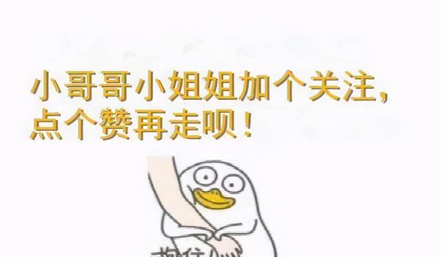 当下最流行的7种猫，附上市场价，小心别买贵了