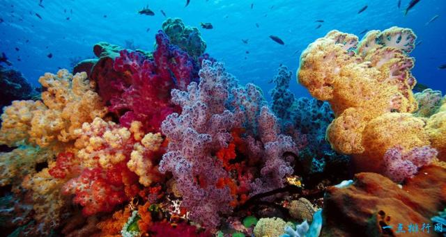 世界7大奇观是哪7个，带你看看大自然创造的迷人风景