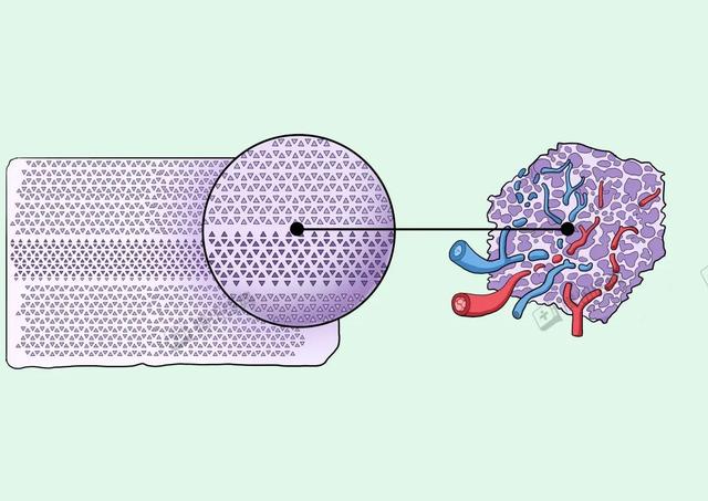 关于隆鼻的五个小常识，千万要注意避免这5个坑