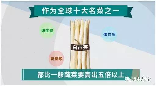 高丽菜是什么，高丽菜是什么季节（这些蔬菜界的“双胞胎”你分得清吗）