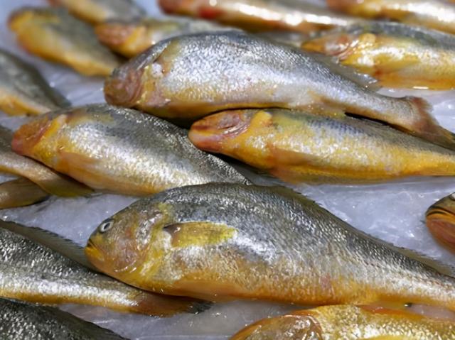 秋刀鱼的营养价值，秋刀鱼的营养价值是什么（人工无法养殖）