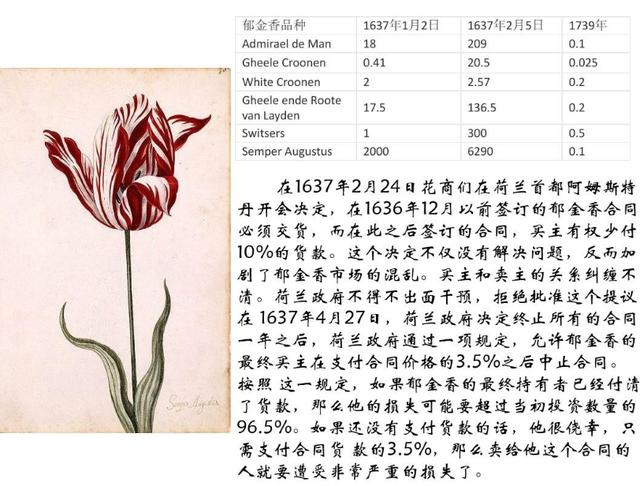 郁金香，郁金香有毒吗 适合室内养吗（你可能不知道的一面图片）