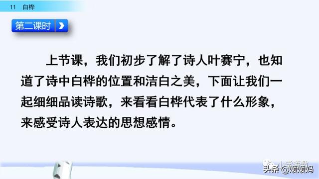 悠扬的近义词，“悠扬”的近义词是什么（四年级下册语文第11课《白桦》图文详解及同步练习）