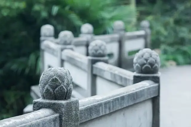 最宝贵的话打一成语，最宝贵的话是什么成语（80个成语之最）