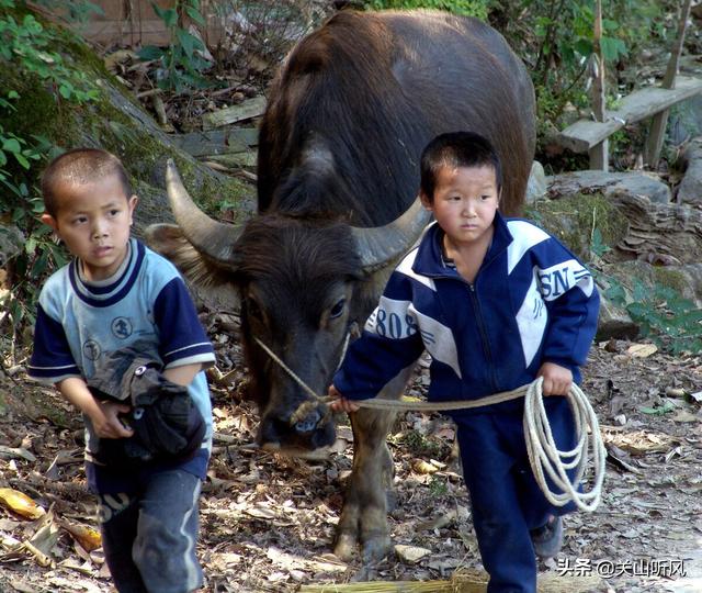 一宅不宜两门图片，一宅进大门分两院好吗（农村老话“一户开两门）