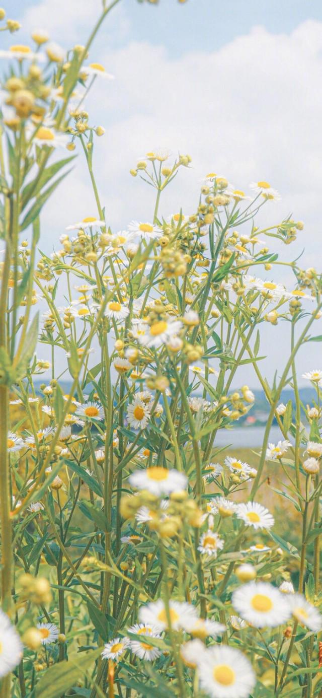 扎心背景图片。，微信扎心背景图（凌晨的故事最扎心）