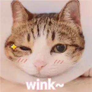 2021年黑龙江八一农垦大学录取通知书发放时间及通知书EMS查询入口，黑龙江八一农垦大学几号开学（全国各省录取通知书发放时间、状态查询）