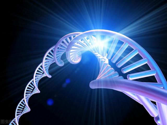 动物马交配，马和人交配（为什么肤色不同的人种）