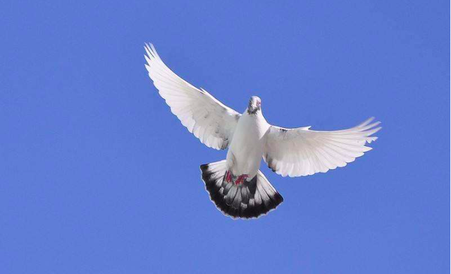 熵（熵增），3分钟带你搞懂背后的大BOSS——香农定律