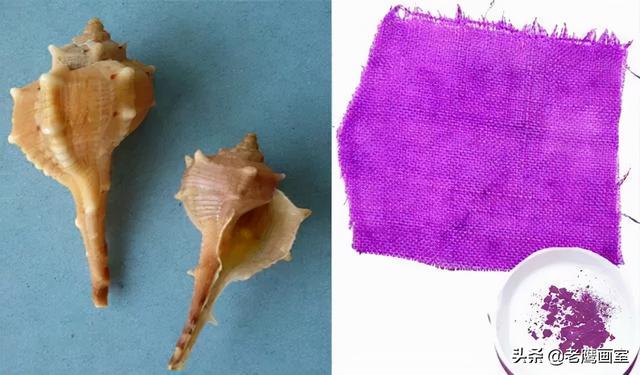 颜料是什么做的，国画颜料是什么做的（你知道最奇葩的颜料是用什么做的吗）