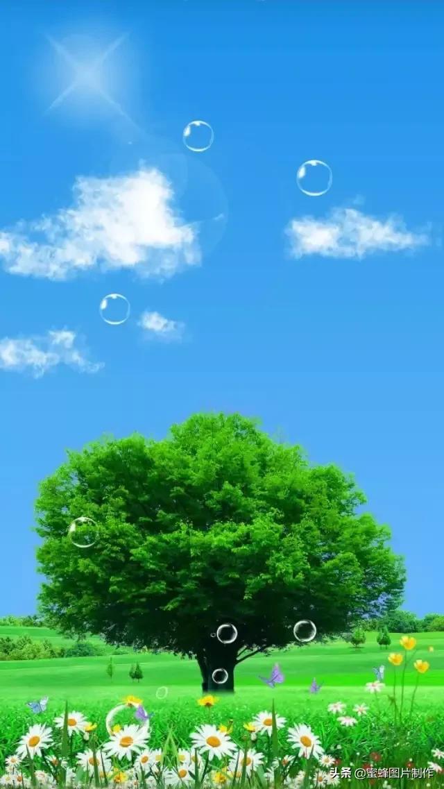 清新图片背景(背景图片简约清新可爱)