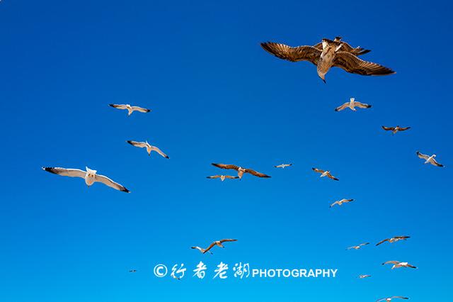 斯卡拉是什么地方，斯卡拉是什么地方的车（大西洋的摩洛哥海滨之城）