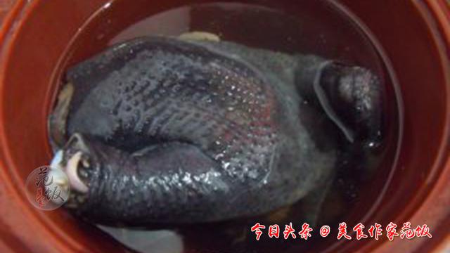 怎样炖乌鸡汤好喝又营养，怎么炖鸡汤好喝又营养（补血益气乌鸡汤、汤白味鲜又好喝、做法简单有窍门、快回家试试吧）