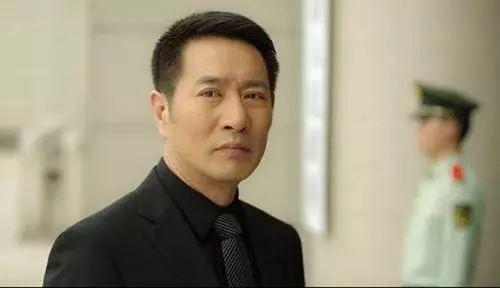 姚刚演的电视剧，姚刚在什么电视剧中饰演何总（从社会我兆哥到忠烈金市长）