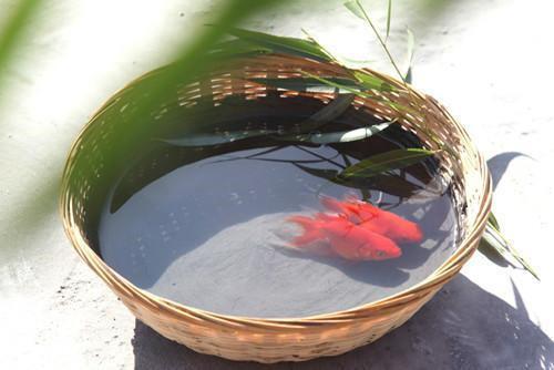 柔性防水材料的优缺点有哪些，防水材料用柔性好还是硬性（在黄岛装修防水一定要用柔性的）