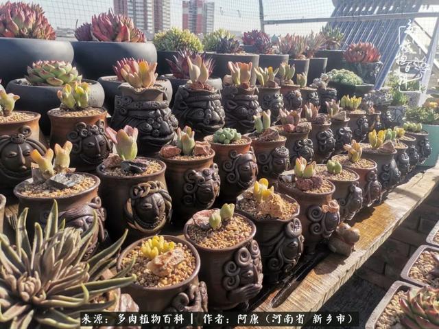 2021九·一八事变是多少周年，2021年是九一八事变的几周年（献给2021最好的春天）