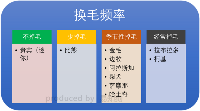 常见犬类品种大全，犬分类品种大全（国内十大流行犬种横向对比）