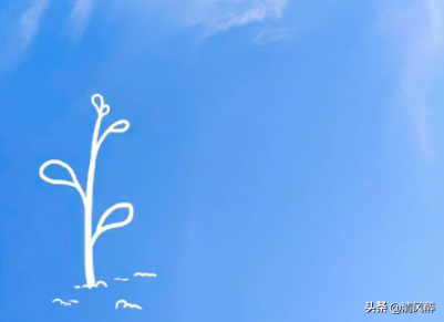 送花贺卡的情话15字 鲜花表白最浪漫的话，送花贺卡的情话15字（2019圣诞节卡片情话撩人）