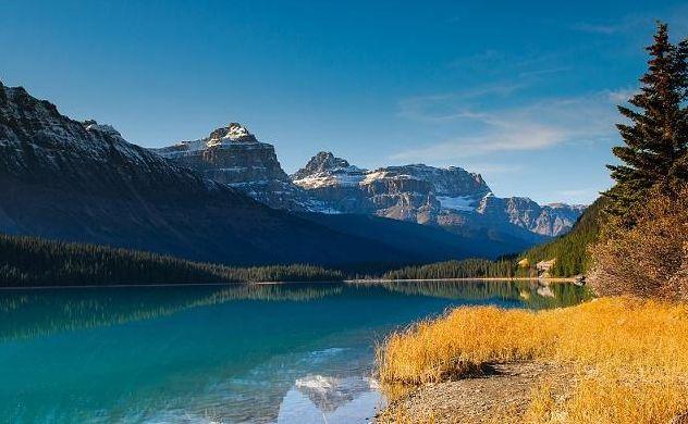 苦尽甘来精辟句子，苦尽甘来的唯美句子（新的一年激励人心的句子）