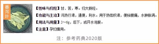 粗多糖是什么东西，12款热门酵素评测