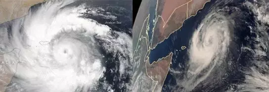 蝗虫为什么能在较坚硬的土壤中产卵，蝗虫产卵没在土里（又将会对中国造成什么影响）