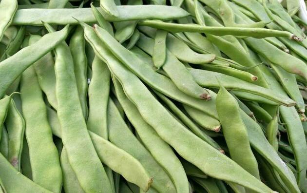 豇豆和豆角的区别，豇豆和豆角的区别