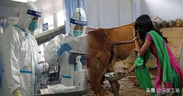 牛粪有的是美文，关于牛粪的诗词（好消息是牛粪多的是）