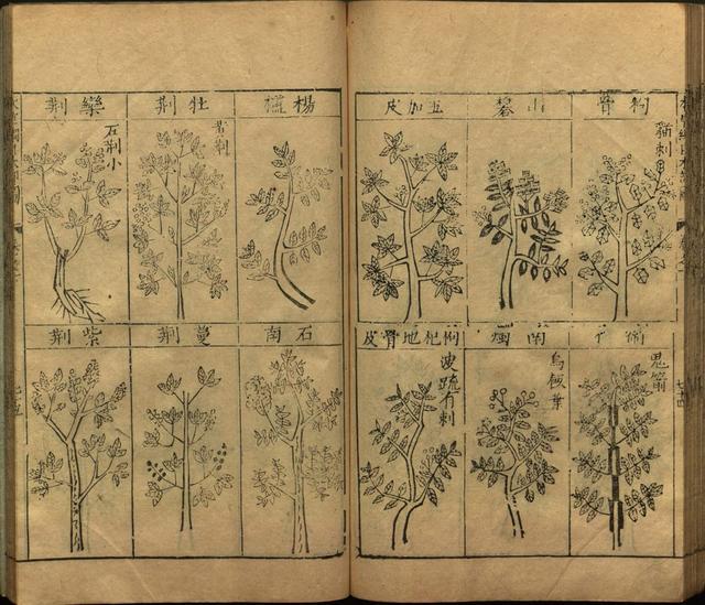 本草纲目全书带图，李时珍本草纲目全书（李时珍著《本草纲目》附图卷）