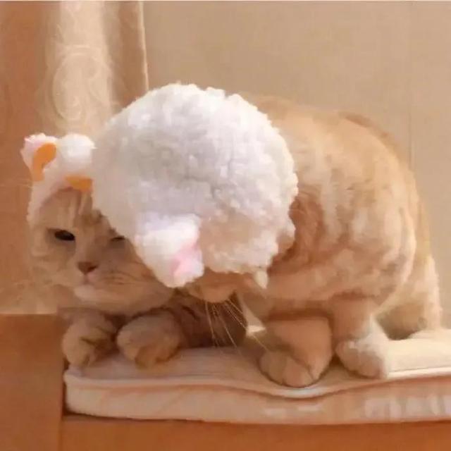 不容易被发现的情侣头像，不容易被发现的情头微信（超甜又隐蔽的情侣头像）