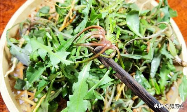 苦菜怎么做好吃，野菜苦苣菜怎么做好吃（别把苦菜当野草了）