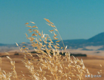 开心的句子说说心情，开心句子说说心情短语（有趣又让人开心的句子）