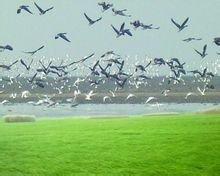 五大淡水湖位置，五大淡水湖位置地图（中国五大湖：鄱阳湖最大）