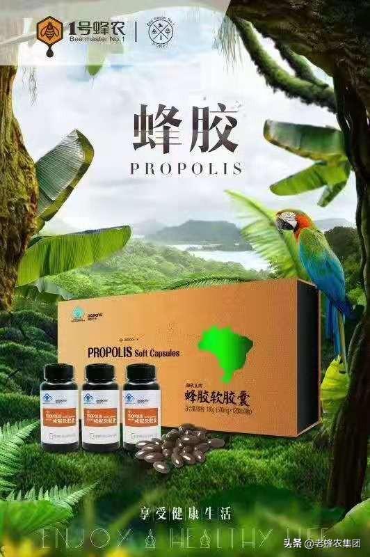 蜂胶是什么东西，蜂胶什么样子（蜂胶到底是个什么东西）