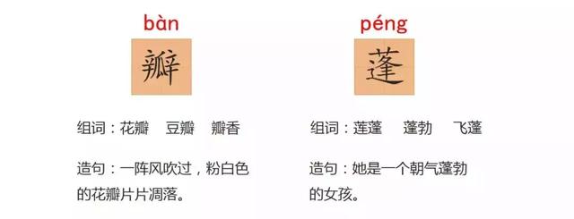 小莲蓬的拼音,的读音是什么(部编版三年级下册 3《荷花》) 小莲蓬的拼音,的读音是什么(部编版三年级下册 3《荷花》)