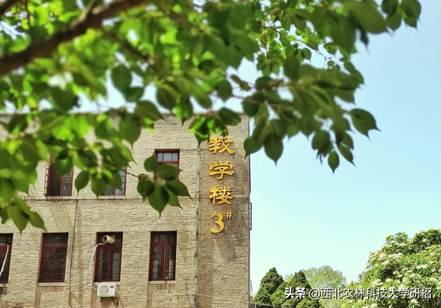 西北农林科技大学在哪，985里最差的十所大学（占地56012.28亩）