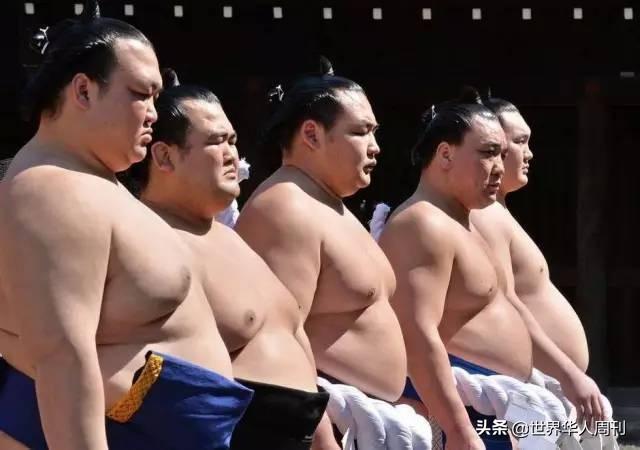 相扑运动员寿命，日本相扑冷知识（日本相扑选手因新冠去世）