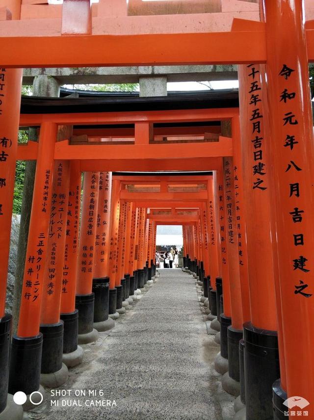 国航最高级别什么卡，国航白金卡什么级别（经济舱也能享受贵宾室、提前选座等权益）